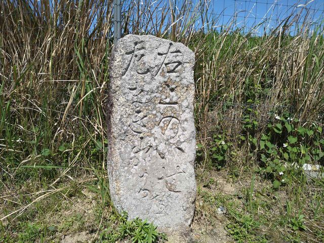 �Ђ���E�܂���܁A�݂��E�����`�]�ˎ���A���l���������Ă������W�B_�b�ꃊ�A���E�Ҍ�����