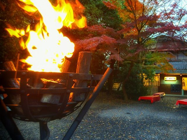 �ƍN��s������ɒ┑������͔E�т�������Ӓ�⾉΂𕰂��Ă����B_�b�ꃊ�A���E�Ҍ�����