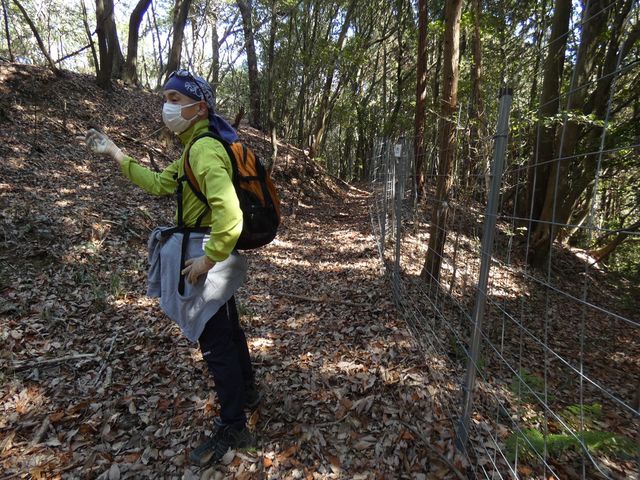 ���[�g���������ē��l�B_�b�ꃊ�A���E�Ҍ�����