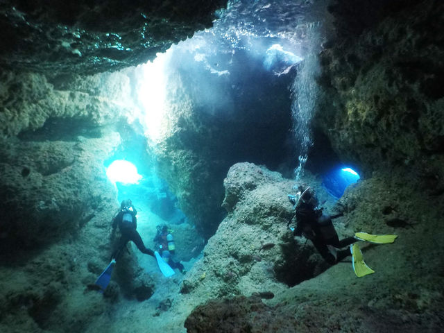 �{�Ó��_�C�r���O�V���b�v �T���A�C�����h