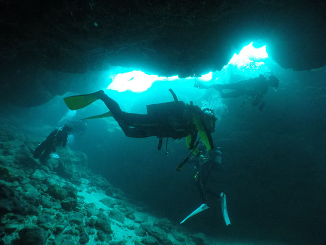 �{�Ó��_�C�r���O�V���b�v �T���A�C�����h