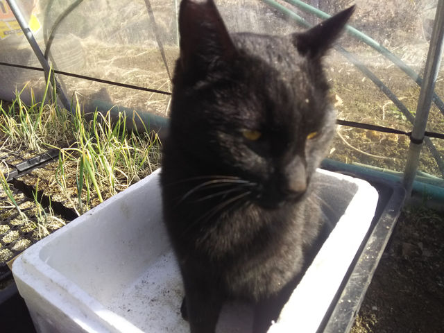 �L�̎���؂肽��_���݂����_��