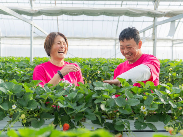 Strawberry Garden �����fam.