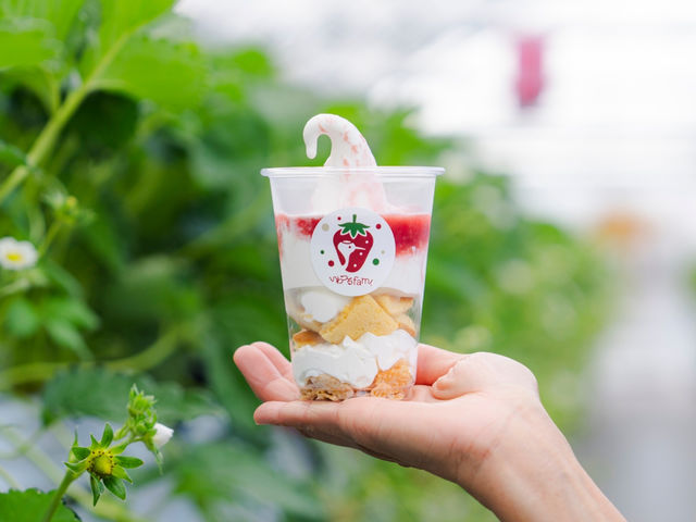 60���R�[�X�Ȃ�I���W�i���p�t�F�����܂�_Strawberry Garden �����fam.