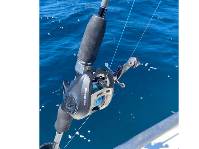 SHIRAHAMA FLAT TOURS