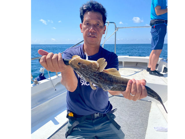 SHIRAHAMA FLAT TOURS