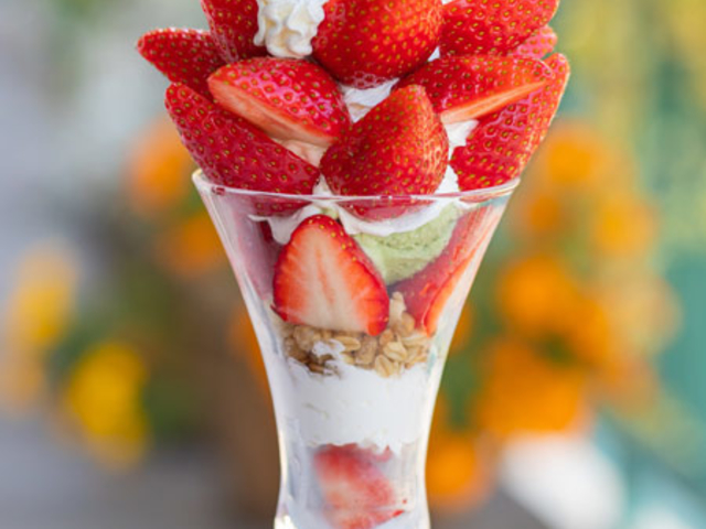 �I�B���������p�t�F_�ω��R�t���[�c�K�[�f��