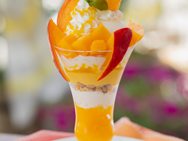 �}���S�[�p�t�F_�ω��R�t���[�c�K�[�f��