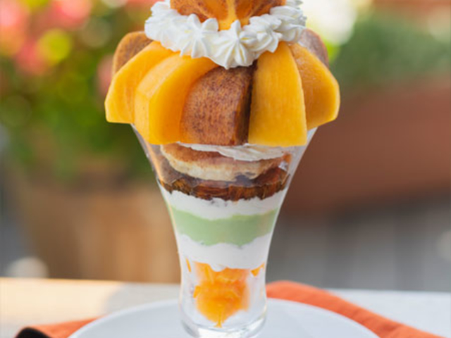 �`�p�t�F_�ω��R�t���[�c�K�[�f��