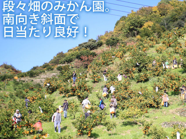 Љ߂ł݂o܂B}XΒn̂Ƃ낪̂łCB_ωRt[cK[f