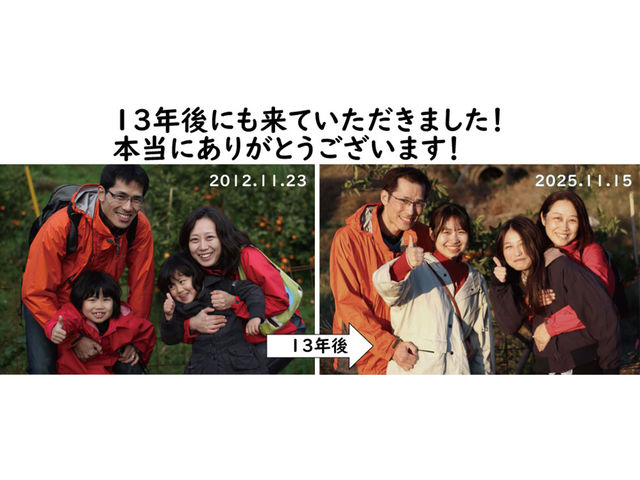 Ƒ̎voAql̐ɂ݂͍œKłI_ωRt[cK[f