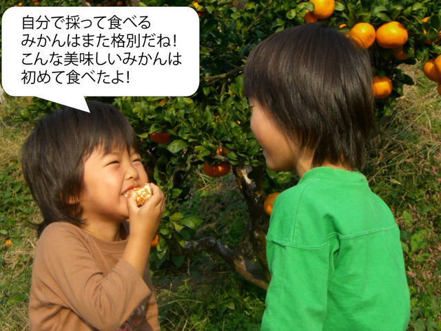 ō݂͍̂ōI_ωRt[cK[f