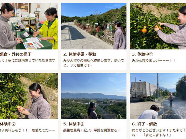 ݂ł̂ĂȂ_ωRt[cK[f