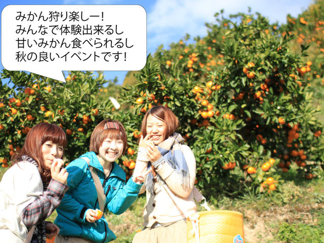 �݂�����y�����[�I�I_�ω��R�t���[�c�K�[�f��