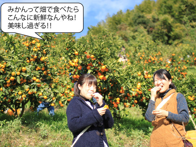 �݂�����y�����[�I�I_�ω��R�t���[�c�K�[�f��