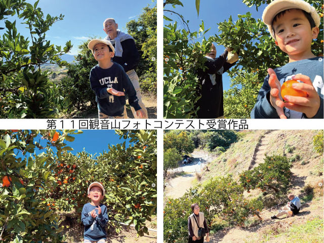 ��P�P��ω��R�t�H�g�R���e�X�g��܍�i_�ω��R�t���[�c�K�[�f��