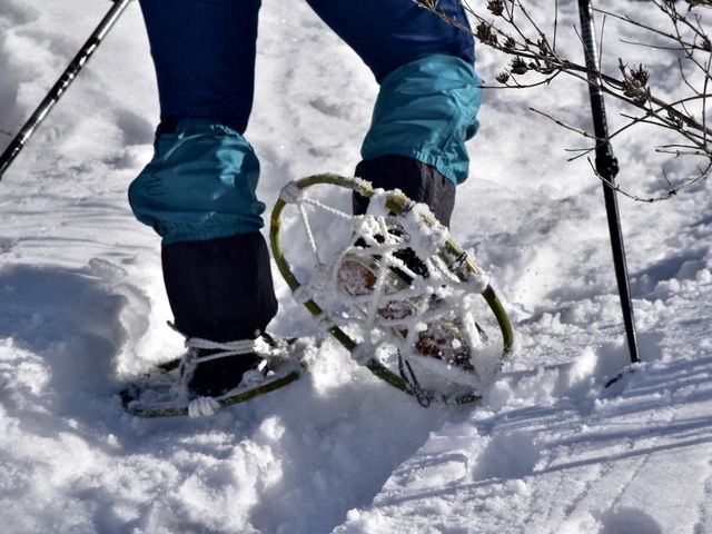 nagano forest village