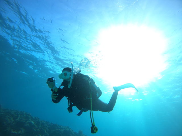 ���C���������グ��ƁE�E�E�L���L���̑��z���I�I_���S�Ґ��}�����T�[�r�X�T���t�B�b�V���Ί_��