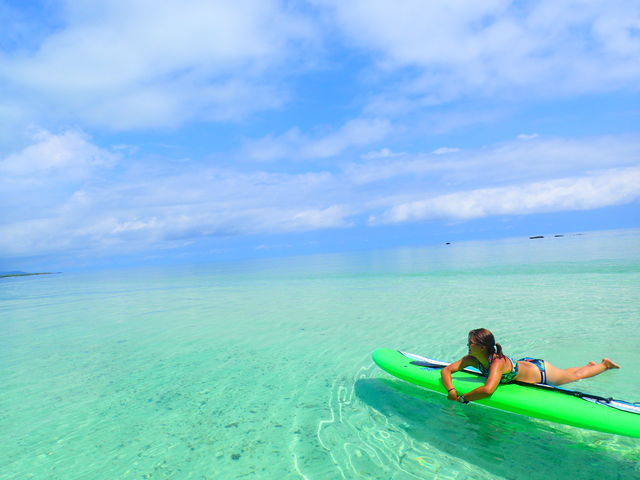 �Ί_���@�_�C�r���O�@�V���m�[�P�����O�@���̓�_���S�Ґ��}�����T�[�r�X�T���t�B�b�V���Ί_��