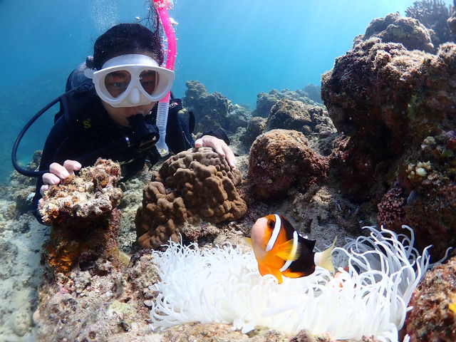 �Ί_���@�_�C�r���O�@�V���m�[�P�����O�@�E�~�K��_���S�Ґ��}�����T�[�r�X�T���t�B�b�V���Ί_��