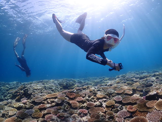 �Ί_���@�_�C�r���O�@�V���m�[�P�����O�@�E�~�K��_���S�Ґ��}�����T�[�r�X�T���t�B�b�V���Ί_��