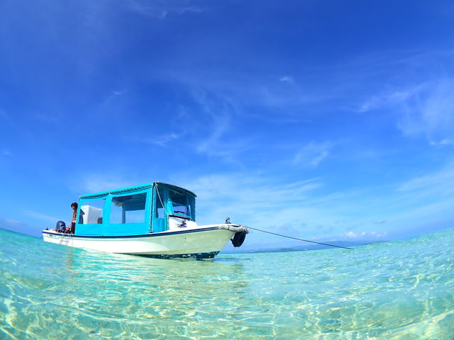 �Ί_���@�_�C�r���O�@�V���m�[�P�����O�@���̓�_���S�Ґ��}�����T�[�r�X�T���t�B�b�V���Ί_��