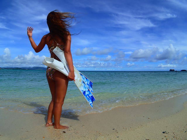 �Ί_���@�_�C�r���O�@�V���m�[�P�����O�@���̓�_���S�Ґ��}�����T�[�r�X�T���t�B�b�V���Ί_��