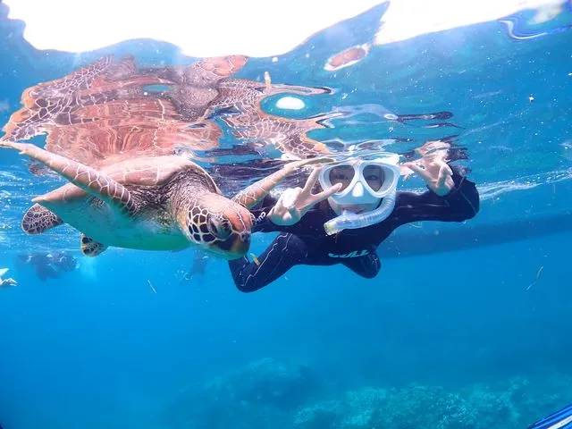 サンフィッシュ石垣島の割引プラン
