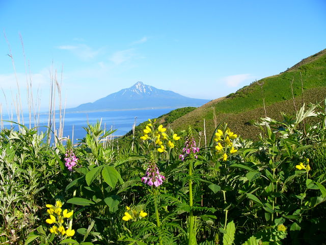 ���Ԕ��R�[�X_�當�͂ȃK�C�h�N���u