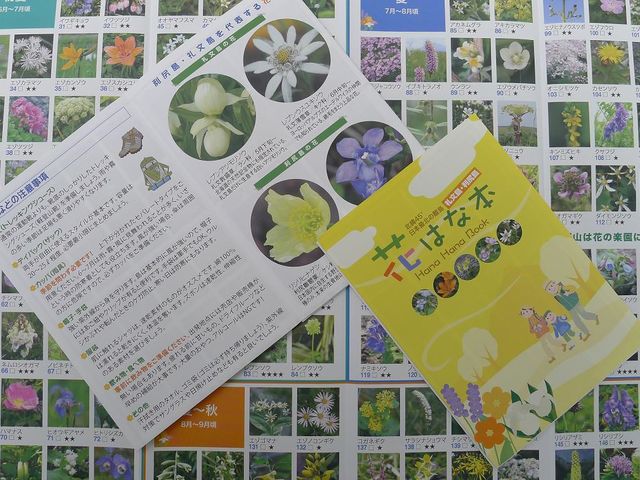 �Ԃ͂Ȗ{(���K�E�當�ɍ炭�Ԃ̈ē����q�j����l����v���[���g_�當�͂ȃK�C�h�N���u