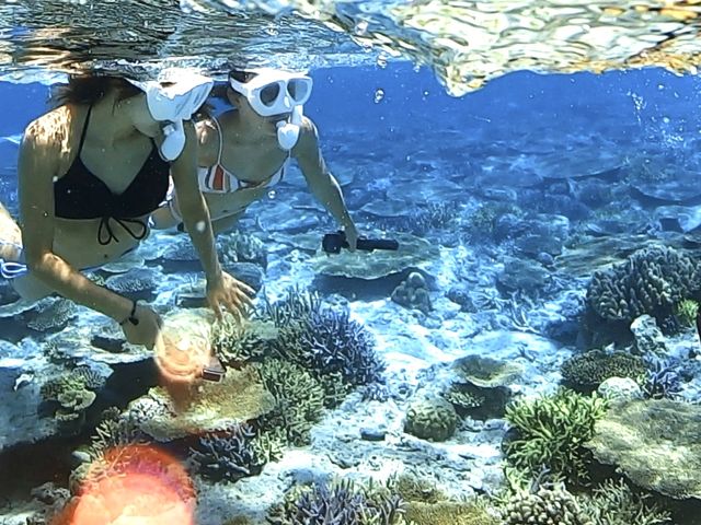 �����x���Q�̊C_���[��[