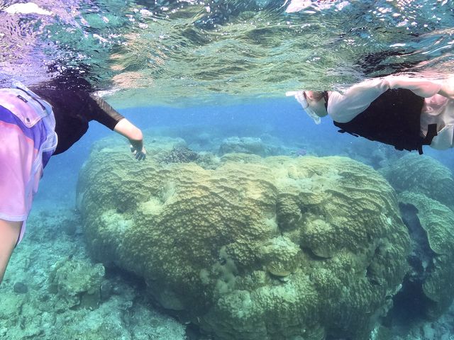 ���꓇�̋���n�}�T���S_���[��[