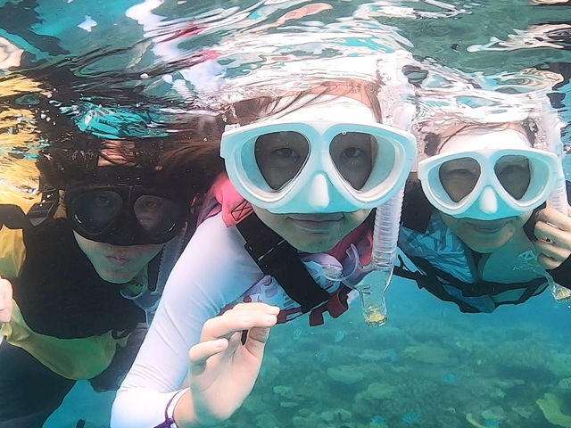 �Ί�Ńn�C�`�[�Y�I_���[��[