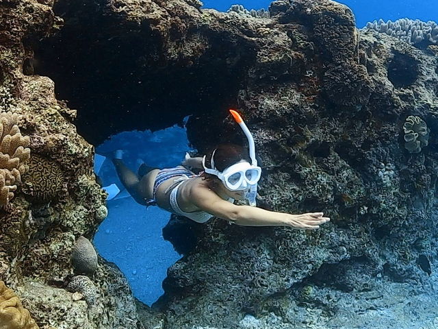 �o���邩����I�g���l���������_���[��[