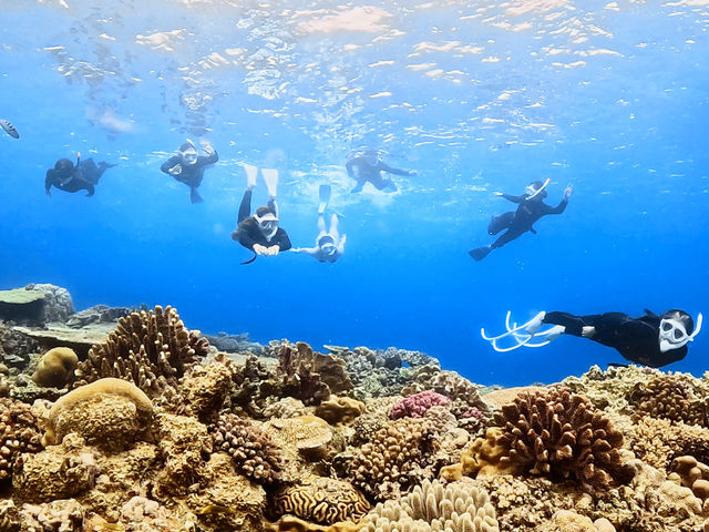 �݂�Ȃł�[���h���I_���[��[