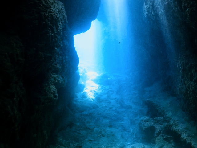 ���ꂽ���̓��A�̓L���L���̌��̃J�[�e��_���[��[