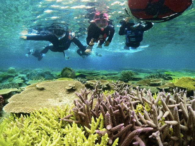 �F�Ƃ�ǂ�̃T���S�ƁI_���[��[