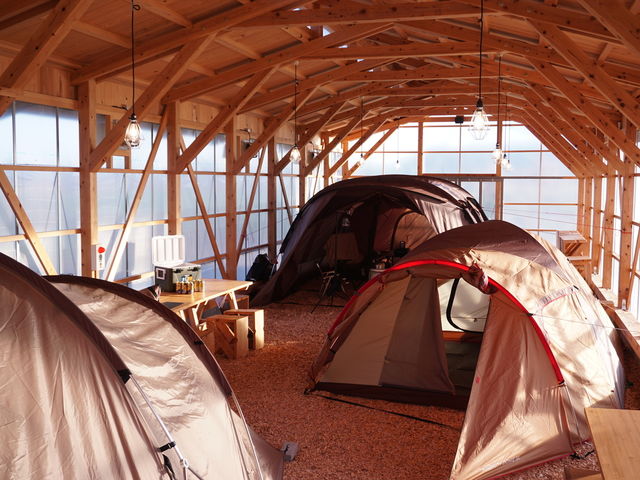 �~�G�̓n�E�X�̒��Ő݉c���\�ł��B_���^�~�I�[�K�j�b�N�����h