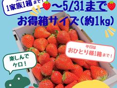 �P���P���̓m�̎ʐ^1