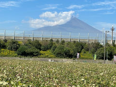 One tenth Fuji 377.6の写真1