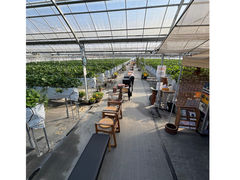 �����̂������_���̎ʐ^1