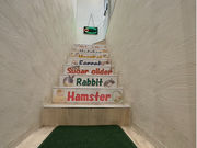 JtF@bNX^[@Ȃ΃p[NXOX̎ʐ^2