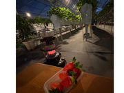 �����̂������_���̎ʐ^3