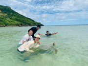 {Óόݐ؃KCh 앗̎ʐ^2