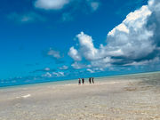 {Óόݐ؃KCh 앗̎ʐ^3