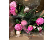 �n���[�E�F���J���p�j�[�̎ʐ^3