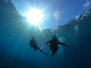 {Ó_CrOVbv TACh̎ʐ^2