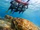 DiveCenter OKKY̎ʐ^2