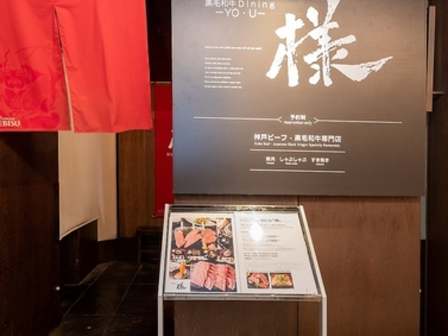 јa_CjO l YO-U̎ʐ^1