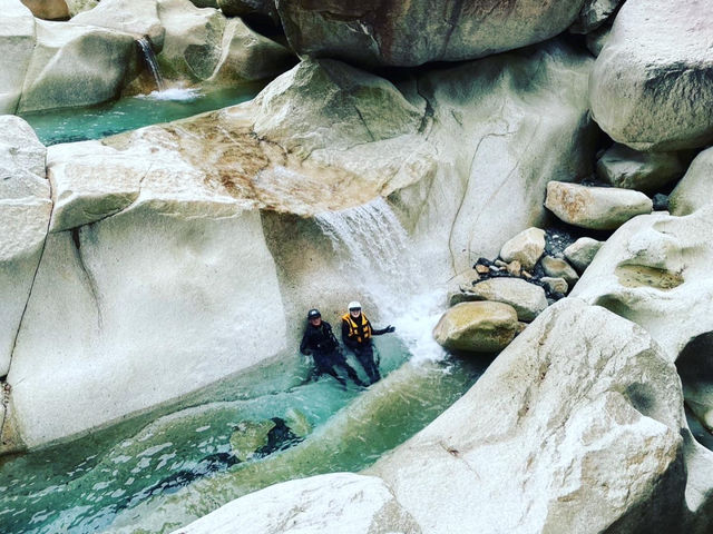 㗬R[X킦Ȃi_c@ľ݂